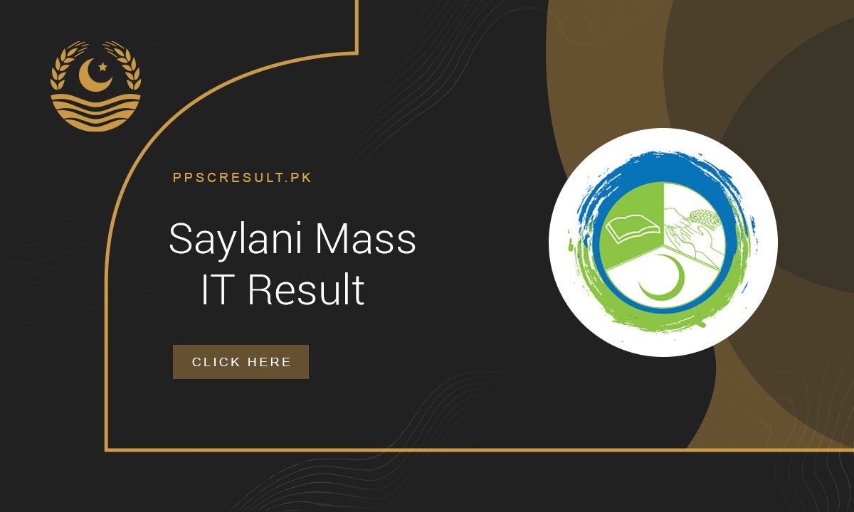 Saylani Mass IT Result
